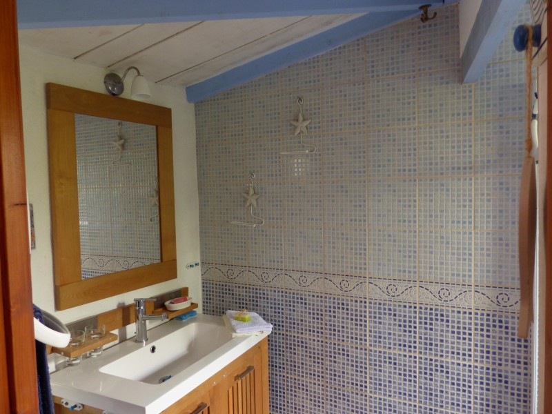 salle-d-eau-modifiee-160428